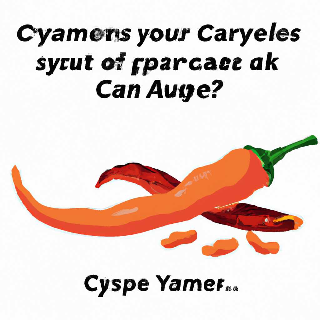 Что нужно знать о Cayenne: особенности и преимущества