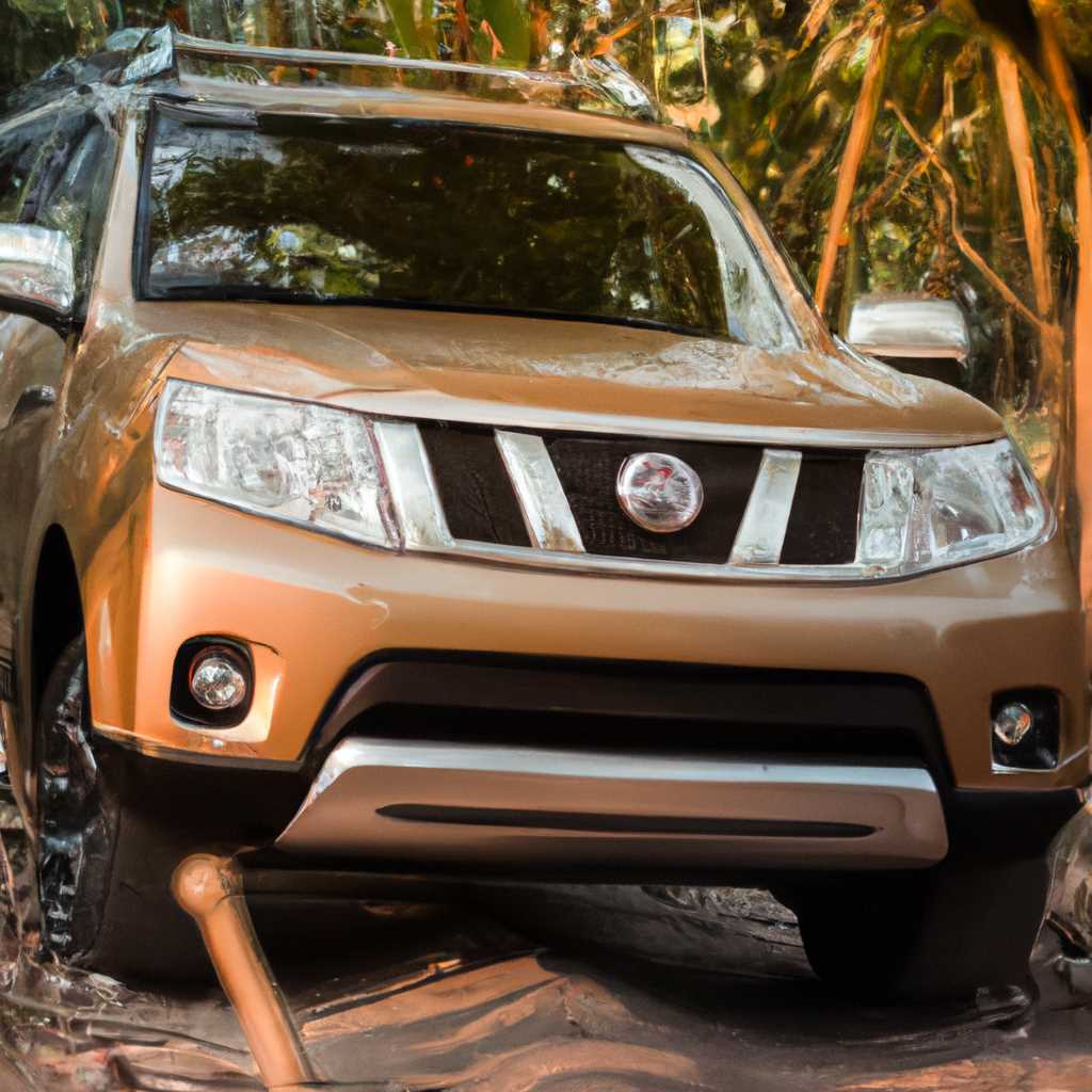 Nissan Terrano III Pathfinder R50: полный обзор моделей, особенности и характеристики