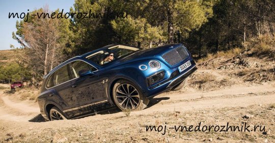 Внедорожник Bentley Bentayga 2016 фото