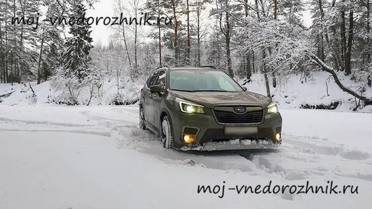 Subaru Forester 2018 отзывы с фото